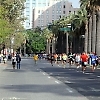 san_jose_half_marathon3 995