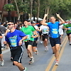 san_jose_half_marathon3 1157