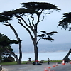 big_sur_half_marathon6 16213