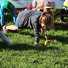 double_road_race_marin 22695
