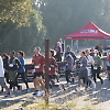 double_road_race486 58552