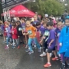 double_road_race443 65038