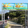 double_road_race443 65942