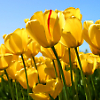 amanda_spencer 4781