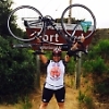 eldon_regua 4878